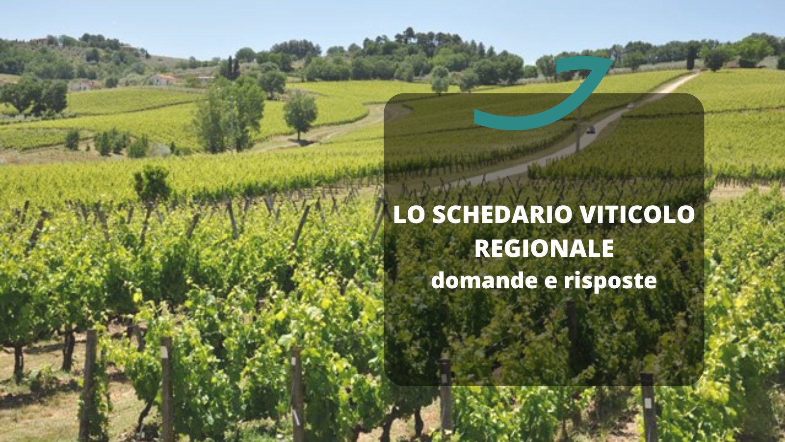 schedario vitivinicolo 